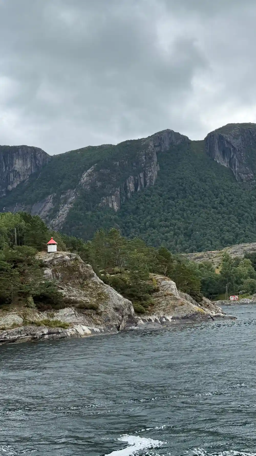 Rocky coastal landscape with forested mountains and water