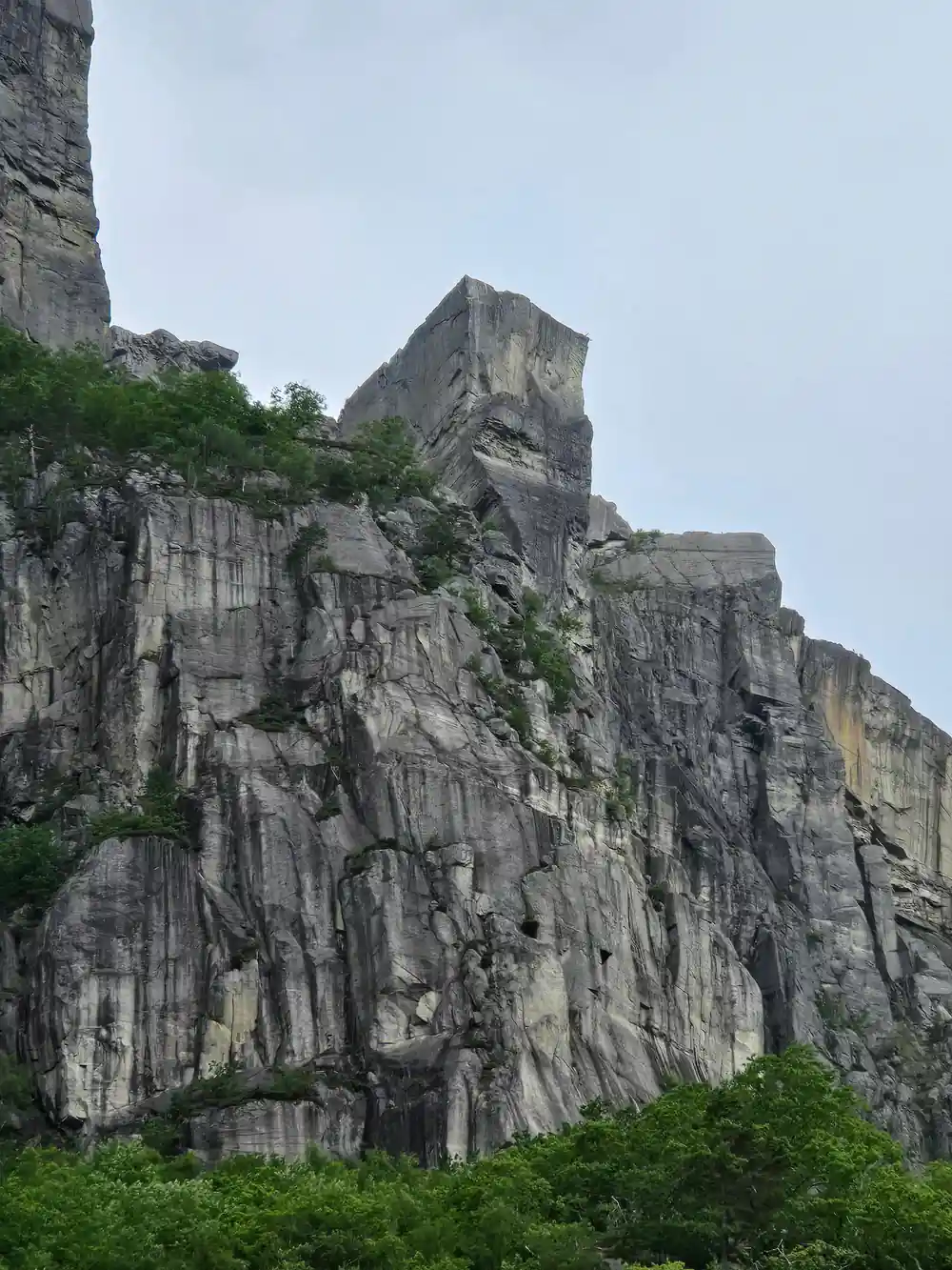 Tall dramatic columnar basalt rock formations with vegetation